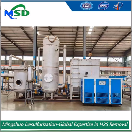 High Sulfur Capacity Iron Hydroxide Desulfurizer for CO2 Stream